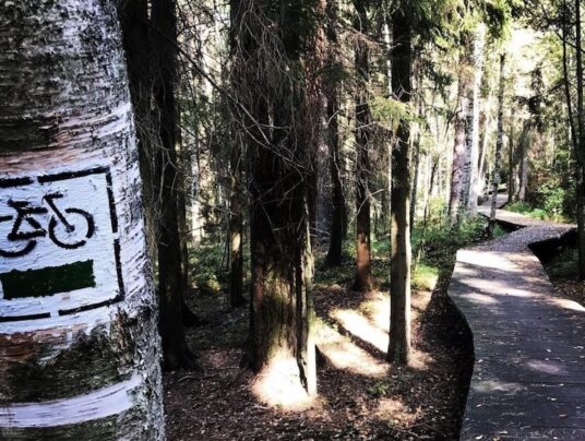 Rowerowe wycieczki po Suwalszczyźnie, zdjęcie: gravel - rower - wiadomości z SIRVIS - jezioro Serwy - Suwalszczyzna