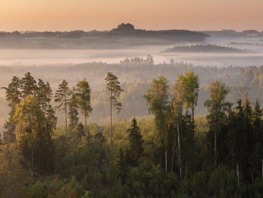 Przewodnik po Suwalszczyźnie - Przykładowe realizacje, Białystok, zdjęcie: Przewodnik po Suwalszczyźnie – natura, jeziora i krajobrazy w okolicy SIRVIS nad jeziorem Serwy