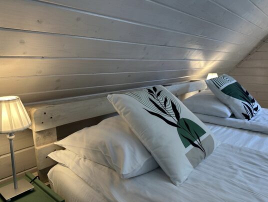 ŻABKORAKI - Galeria, zdjęcie: apartamenty nad jeziorem Serwy - SIRVIS - Suwalszczyzna