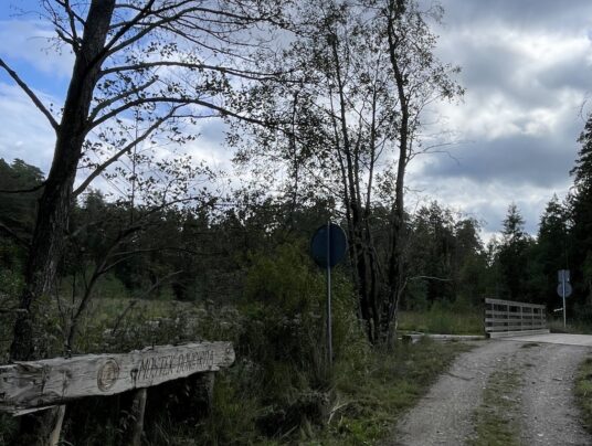 SIRVIS okolice, zdjęcie: szlakiem Dowgirda - SIRVIS - Suwalszczyzna