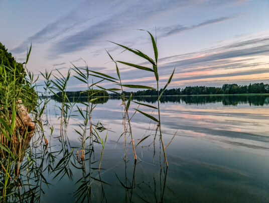 SIRVIS teren, zdjęcie: widok na jezioro - SIRVIS - jezioro Serwy - Suwalszczyzna